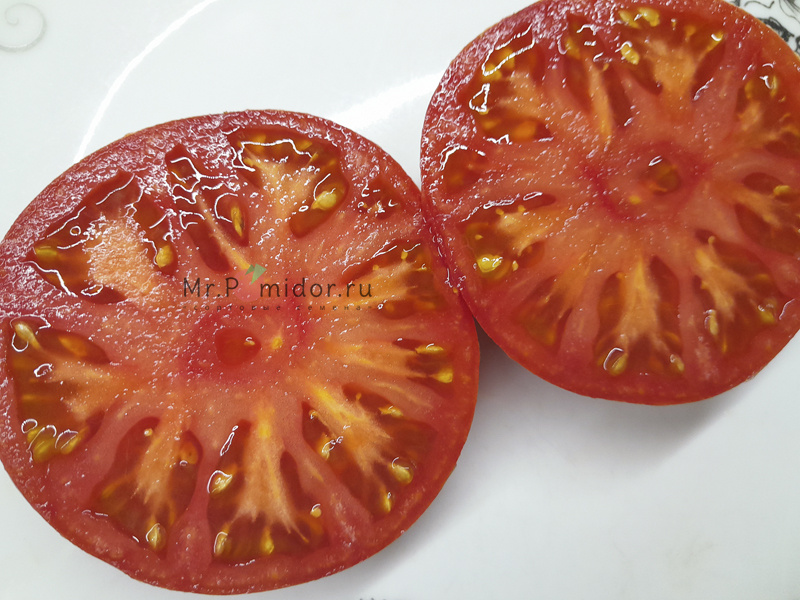 Семена томатов Dwarf Firebird Sweet ( Жар-птица сладкая) - Сортовые семенаMr.Pomidor