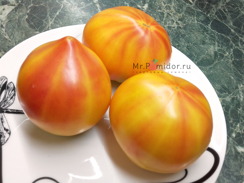 Сорта биколорных томатов описание фотографии и отзывы