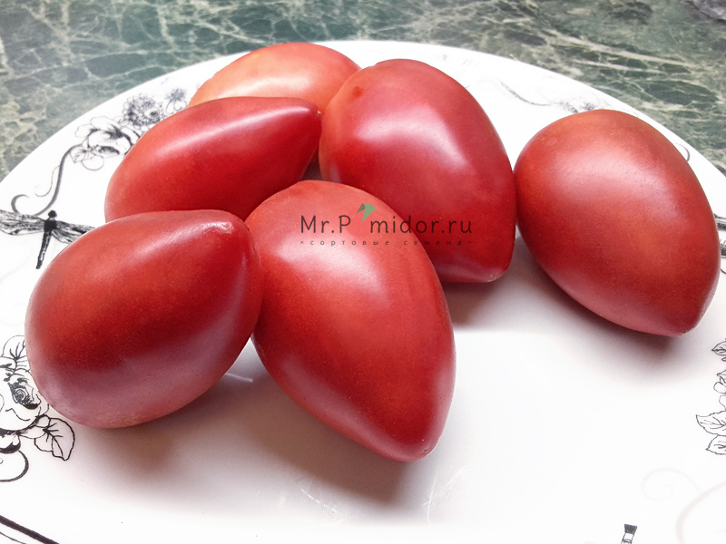 Описание сорта томатов Шебойган